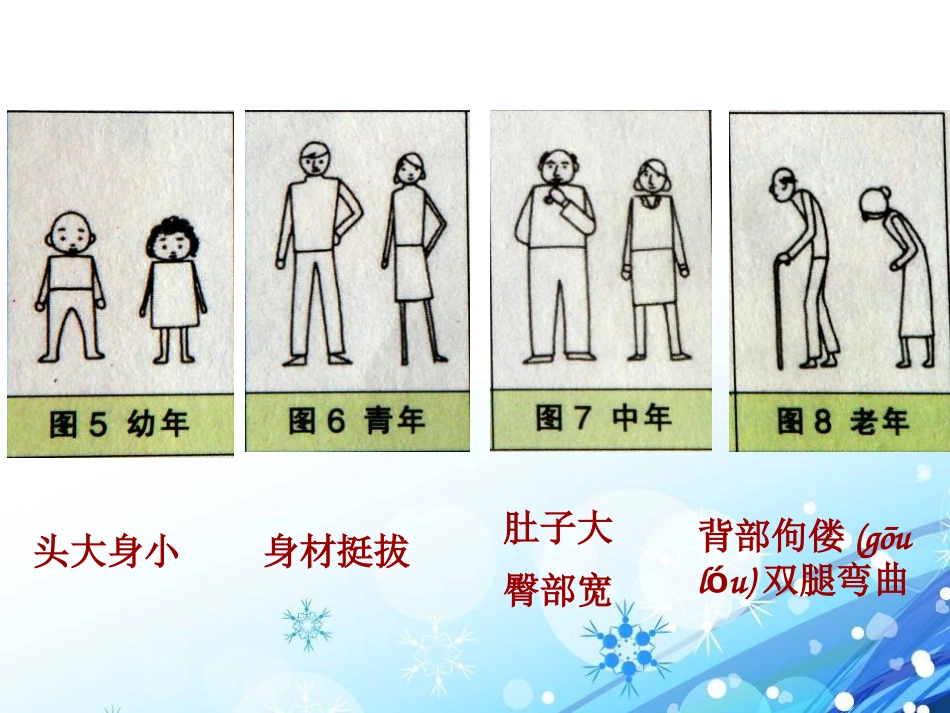 《我们的生长变化》生长与变化PPT课件[人教版五年级科学]_第3页