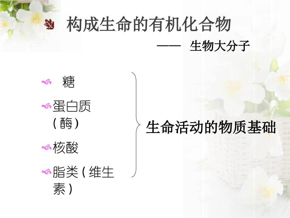 《遗传与变异》生长与变化PPT课件[人教版五年级科学下册]_第3页