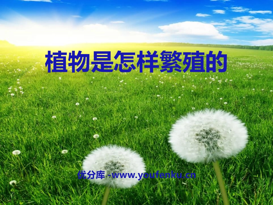 《植物是怎样繁殖的》植物的生命系统PPT课件[人教版六年级科学]_第1页