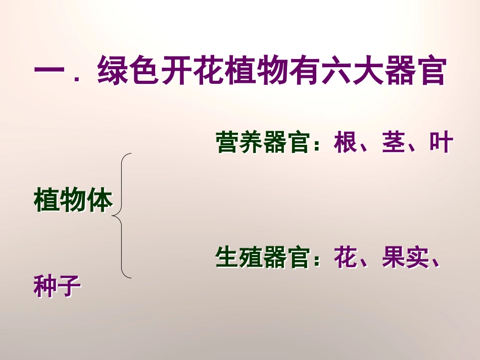 《植物体各部分的关系》植物的生命系统PPT课件[人教版六年级科学]_第3页