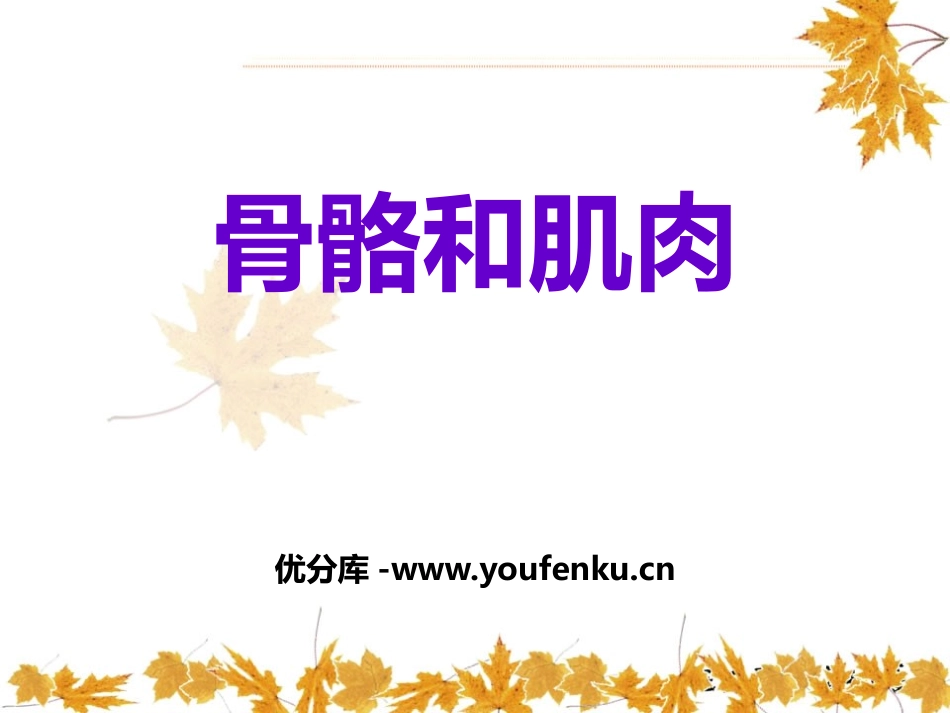 《骨骼和肌肉》人体的奥秘PPT课件[人教版六年级科学上册]_第1页