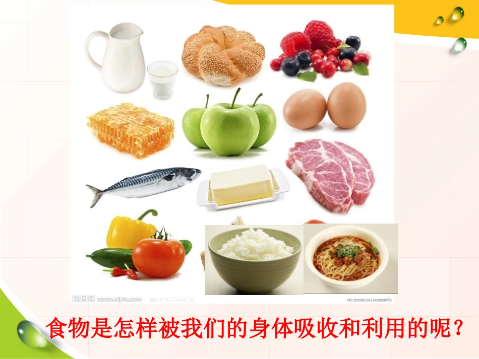 《食物在人体内的旅行》人体的奥秘PPT课件[人教版六年级科学]_第2页