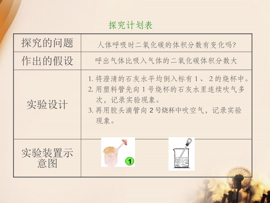 《气体在人体中的进出》人体的奥秘PPT课件[人教版六年级科学]_第3页