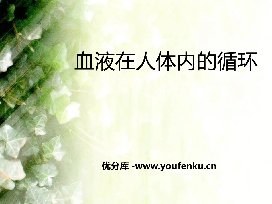 《血液在人体内的循环》人体的奥秘PPT课件[人教版六年级科学]_第1页