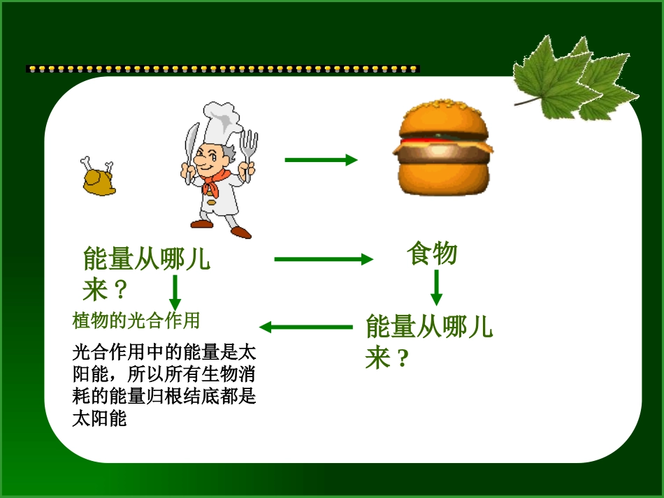 《能量从哪里来》能量与生活PPT课件[人教版六年级科学下册]_第2页