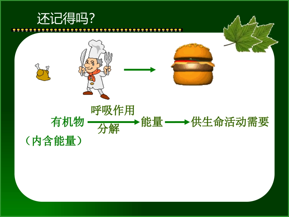 《能量从哪里来》能量与生活PPT课件[人教版六年级科学下册]_第3页
