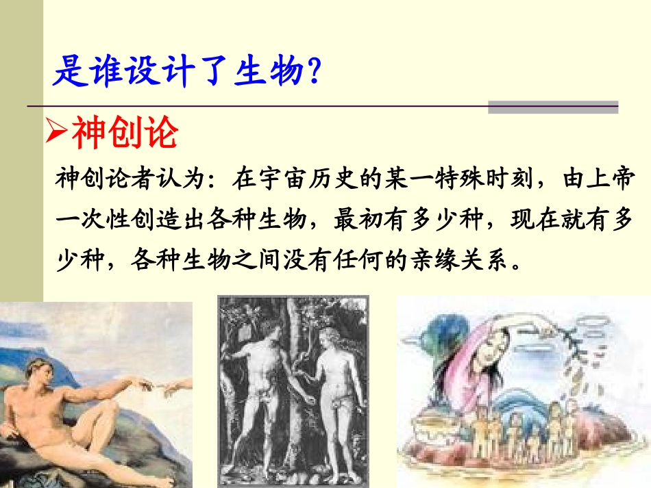 《生物的进化》生物与环境PPT课件[人教版六年级科学下册]_第2页