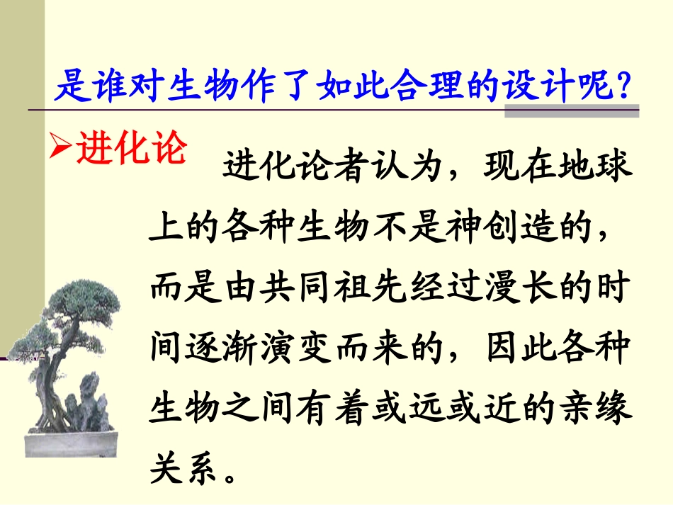 《生物的进化》生物与环境PPT课件[人教版六年级科学下册]_第3页