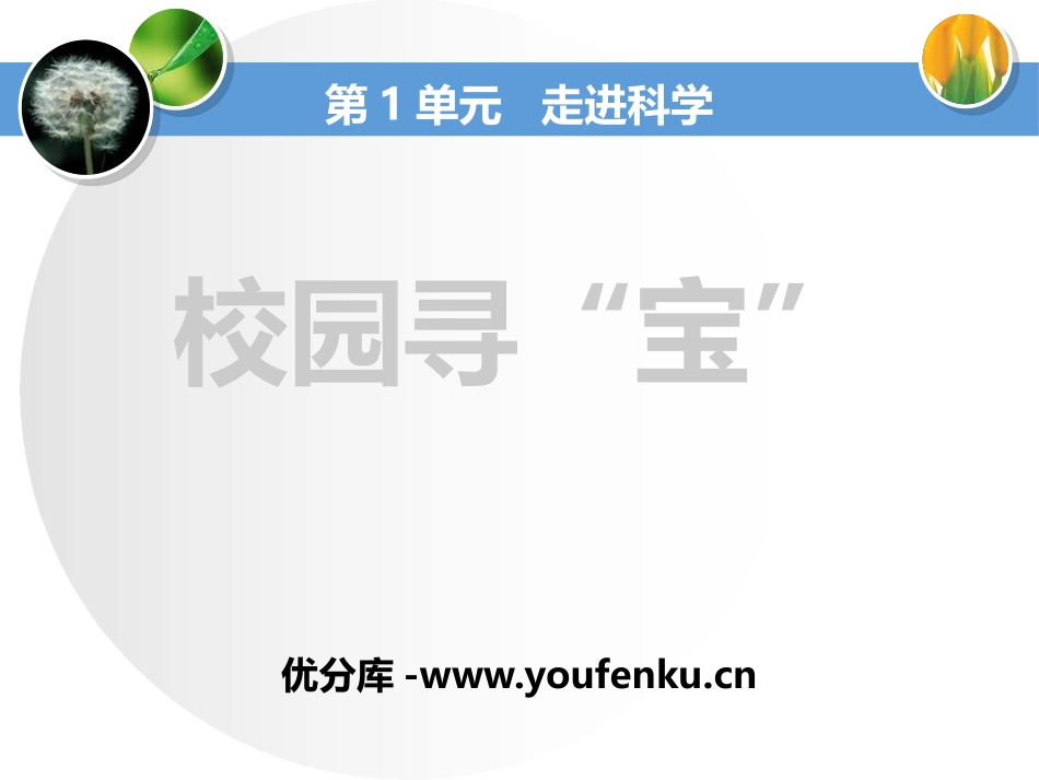 《校园寻宝》走进科学PPT课件[湘教版三年级科学上册]_第1页