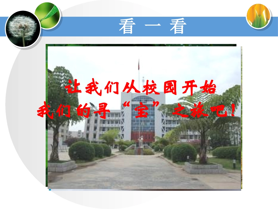 《校园寻宝》走进科学PPT课件[湘教版三年级科学上册]_第2页