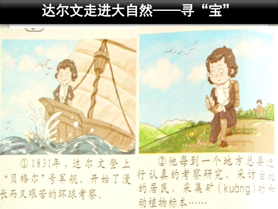《校园寻宝》走进科学PPT课件[湘教版三年级科学上册]_第2页