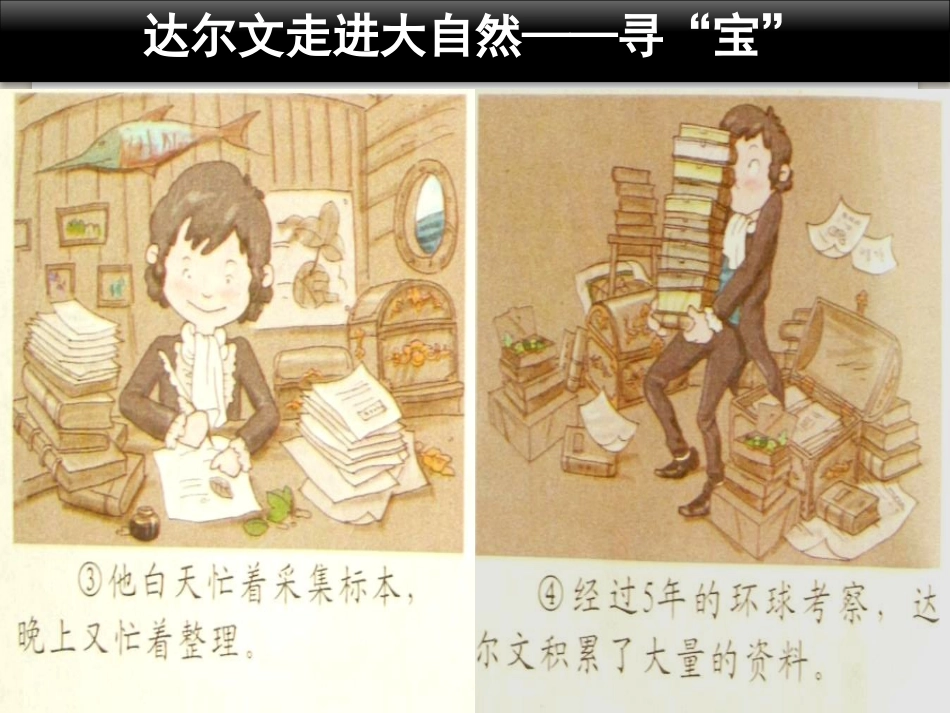 《校园寻宝》走进科学PPT课件[湘教版三年级科学上册]_第3页