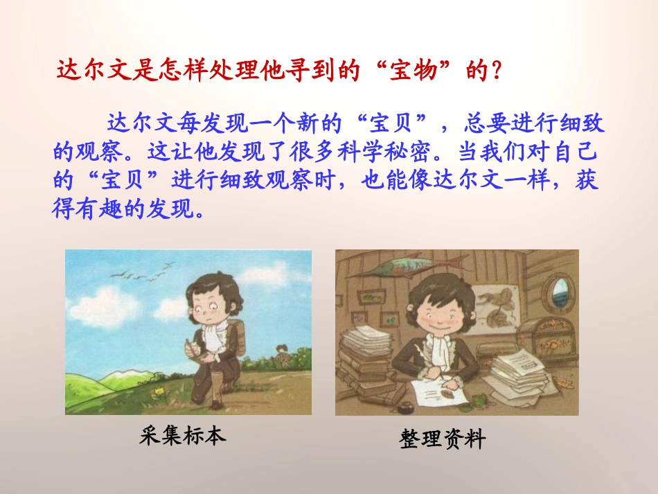 《观察宝贝》走进科学PPT课件[湘教版三年级科学上册]_第2页