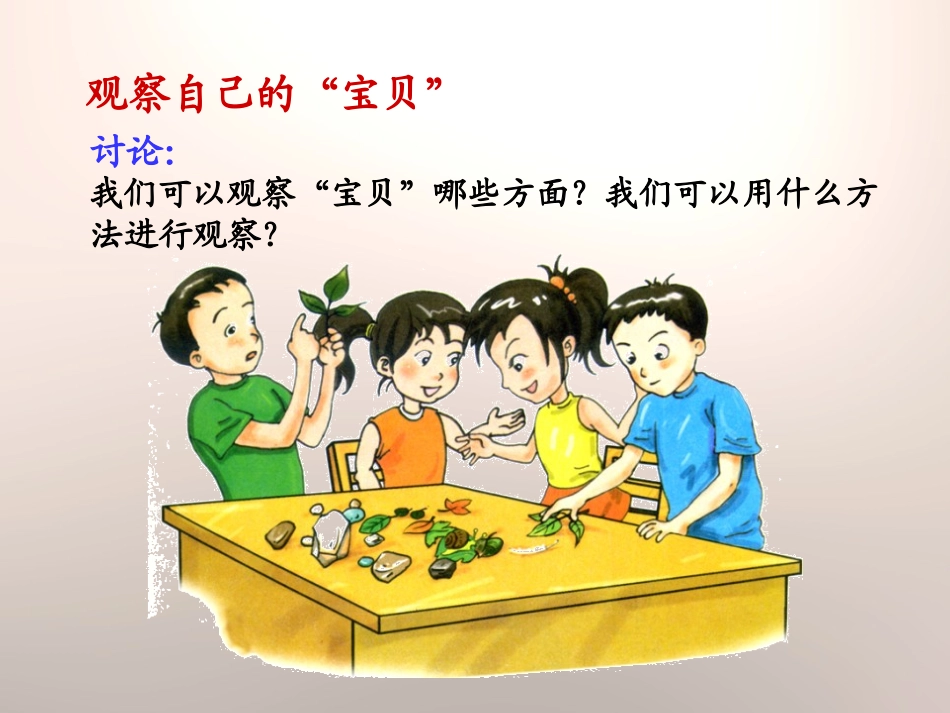 《观察宝贝》走进科学PPT课件[湘教版三年级科学上册]_第3页