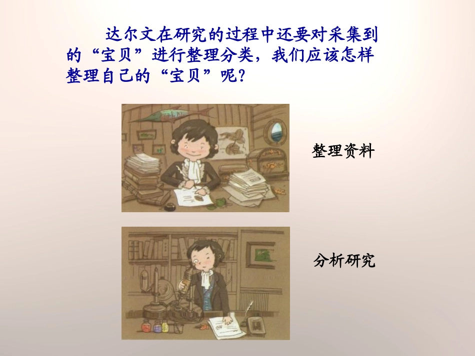 《整理百宝箱》走进科学PPT课件[湘教版三年级科学上册]_第2页