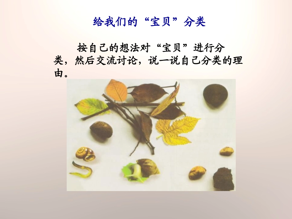 《整理百宝箱》走进科学PPT课件[湘教版三年级科学上册]_第3页