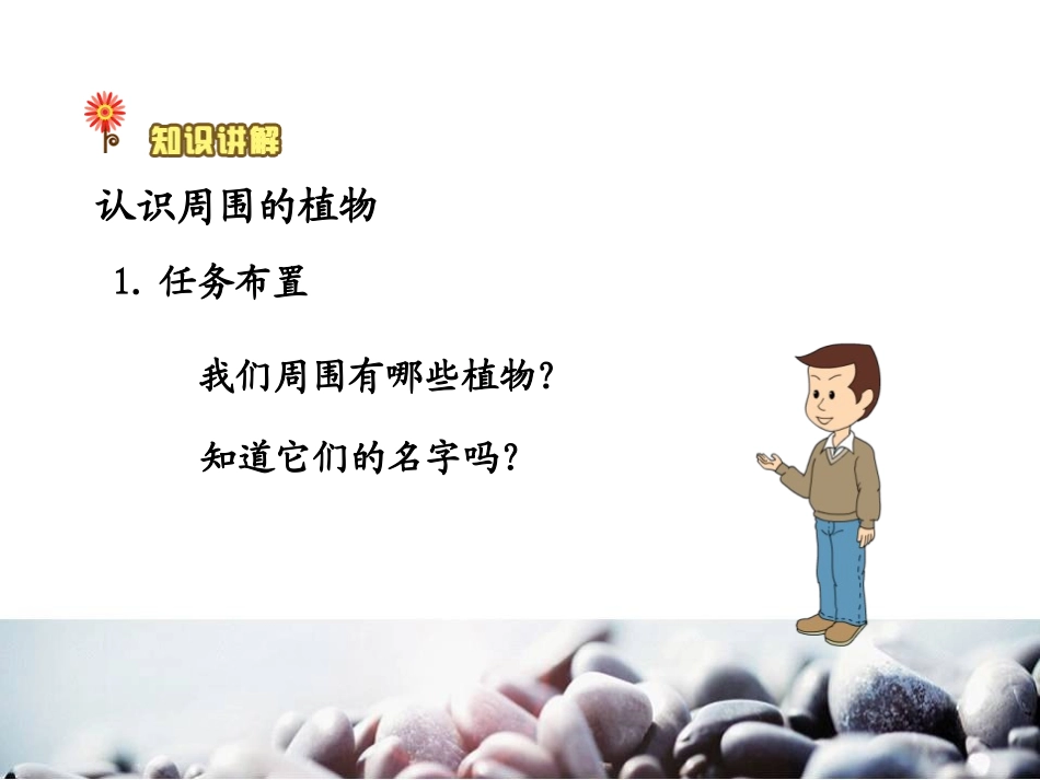 《身边的植物》身边的动植物PPT课件[湘教版三年级科学上册]_第3页