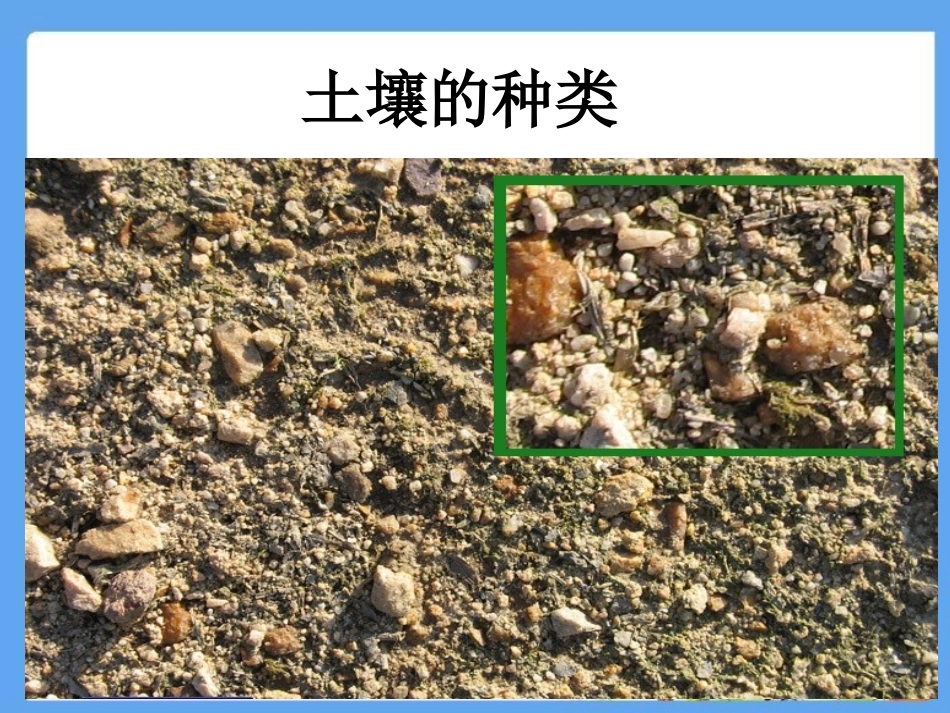 《土壤的种类》土壤PPT课件[湘教版三年级科学上册]_第2页