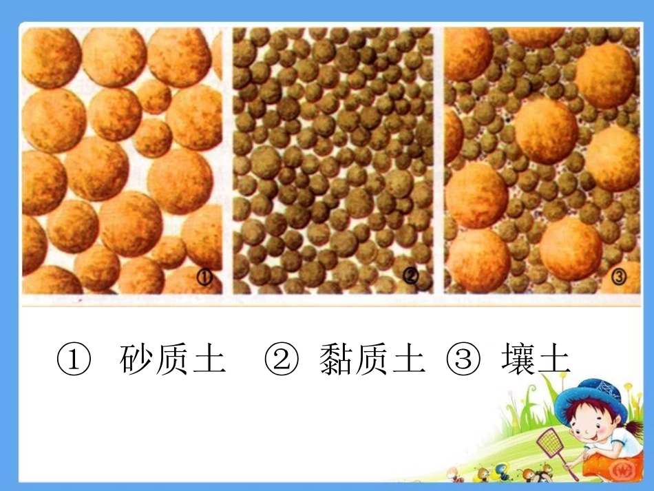 《土壤的种类》土壤PPT课件[湘教版三年级科学上册]_第3页