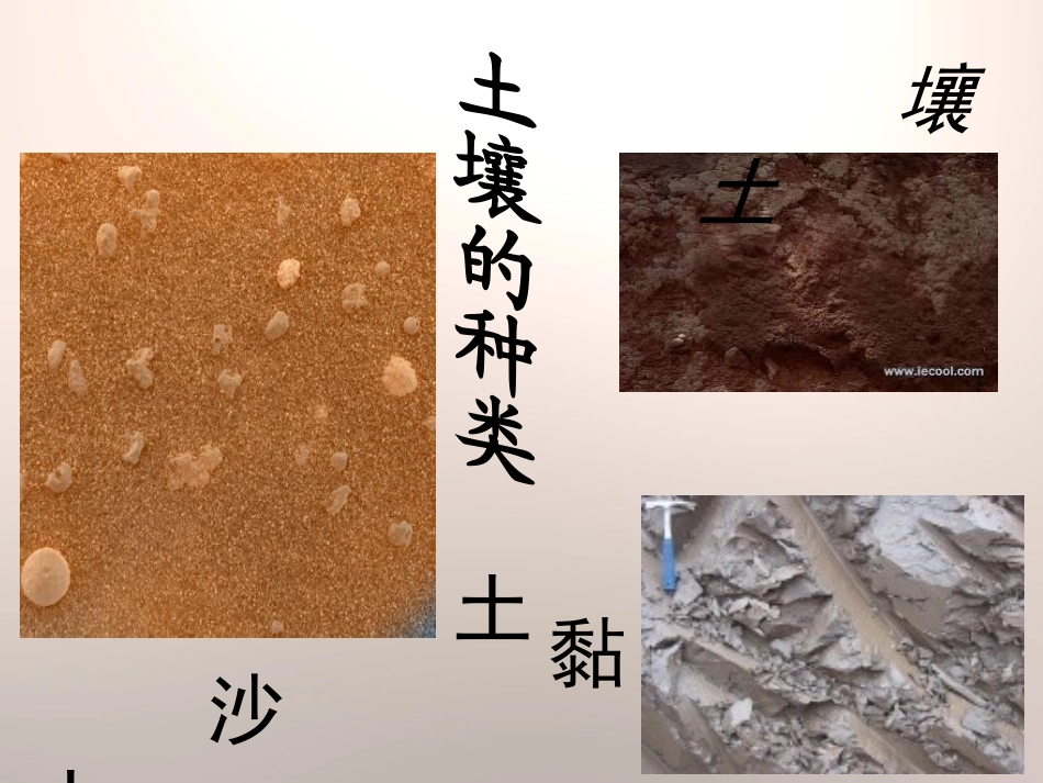 《土壤的种类》土壤PPT课件[湘教版三年级科学上册]_第3页