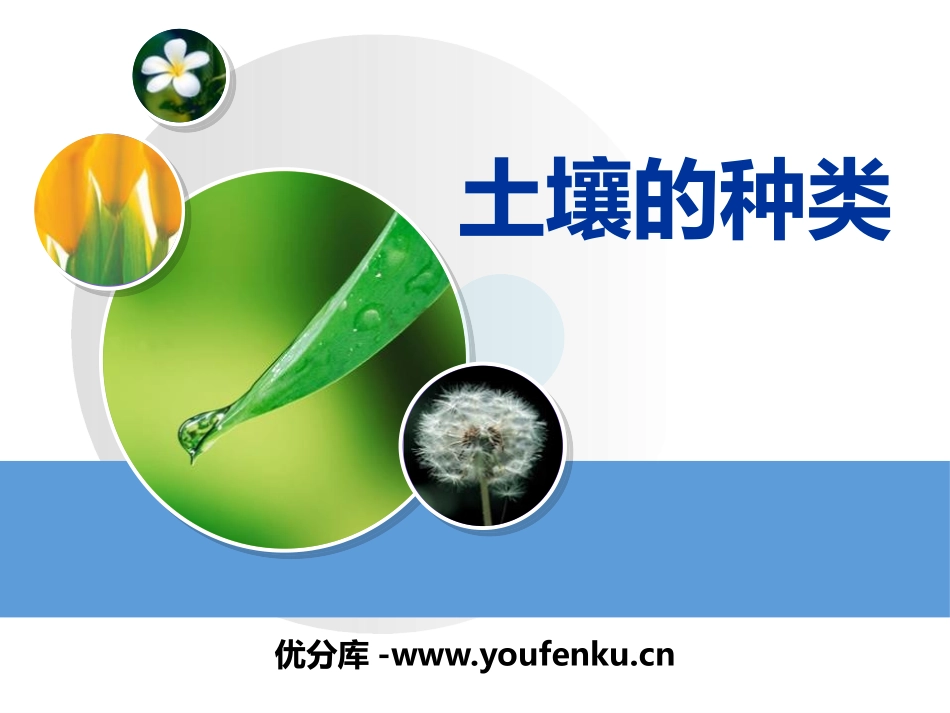 《土壤的种类》土壤PPT课件[湘教版三年级科学上册]_第1页