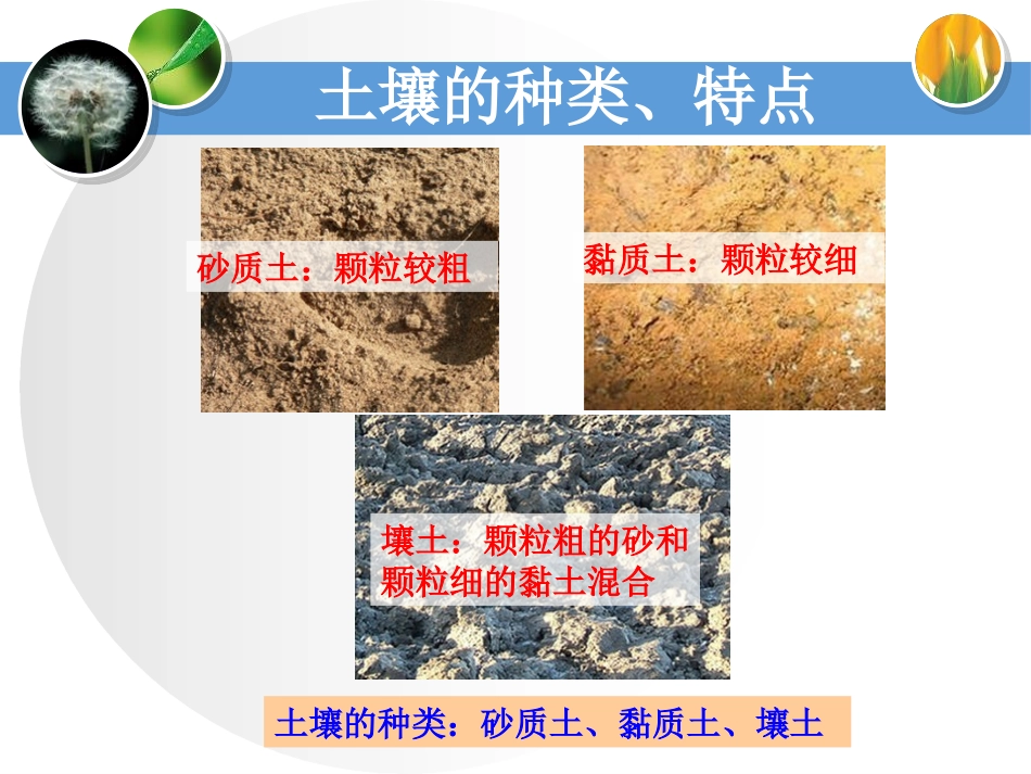 《土壤的种类》土壤PPT课件[湘教版三年级科学上册]_第2页