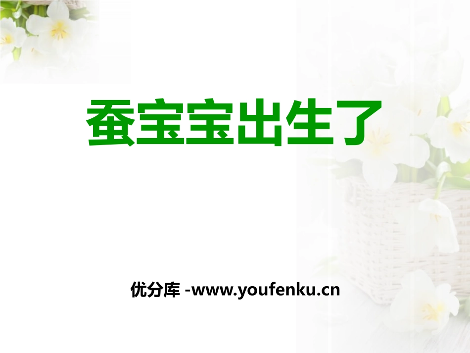 《蚕宝宝出生了》我们来养蚕PPT课件[湘教版三年级科学下册]_第1页