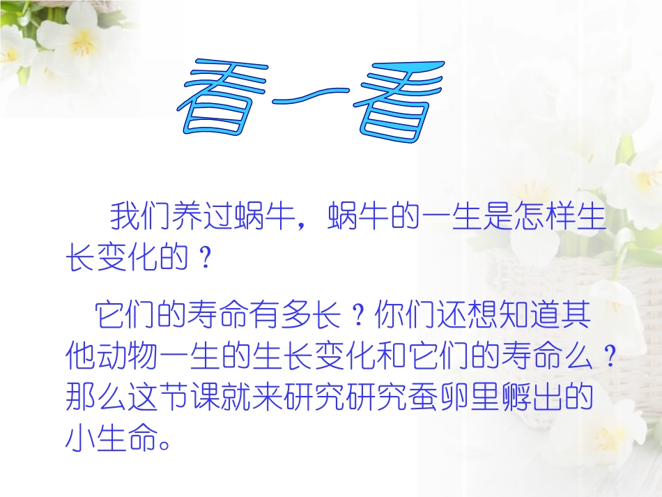 《蚕宝宝出生了》我们来养蚕PPT课件[湘教版三年级科学下册]_第2页