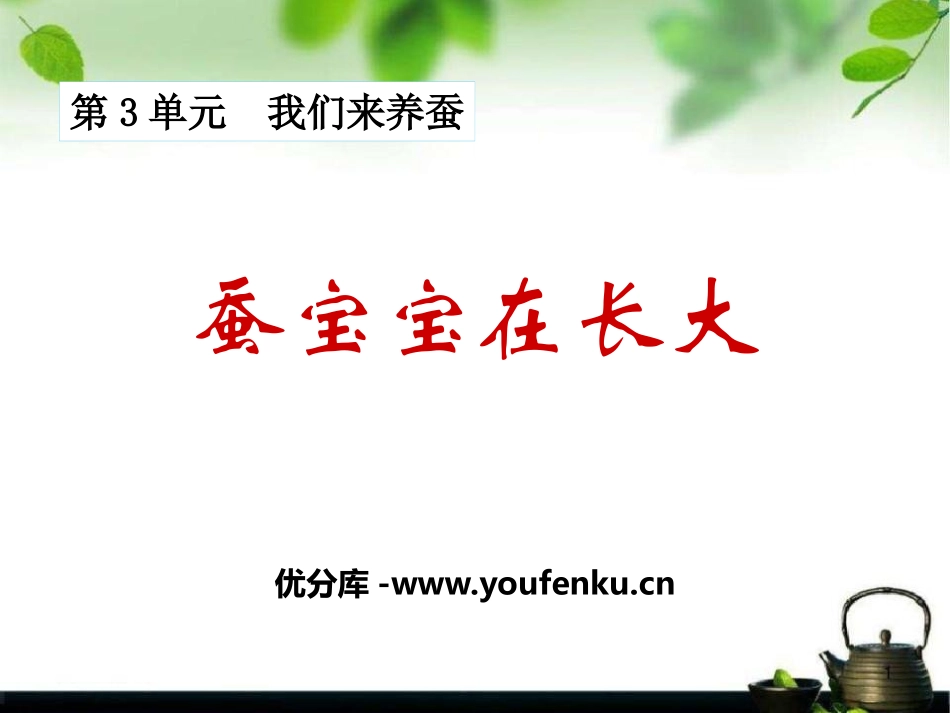 《蚕宝宝在长大》我们来养蚕PPT课件[湘教版三年级科学下册]_第1页