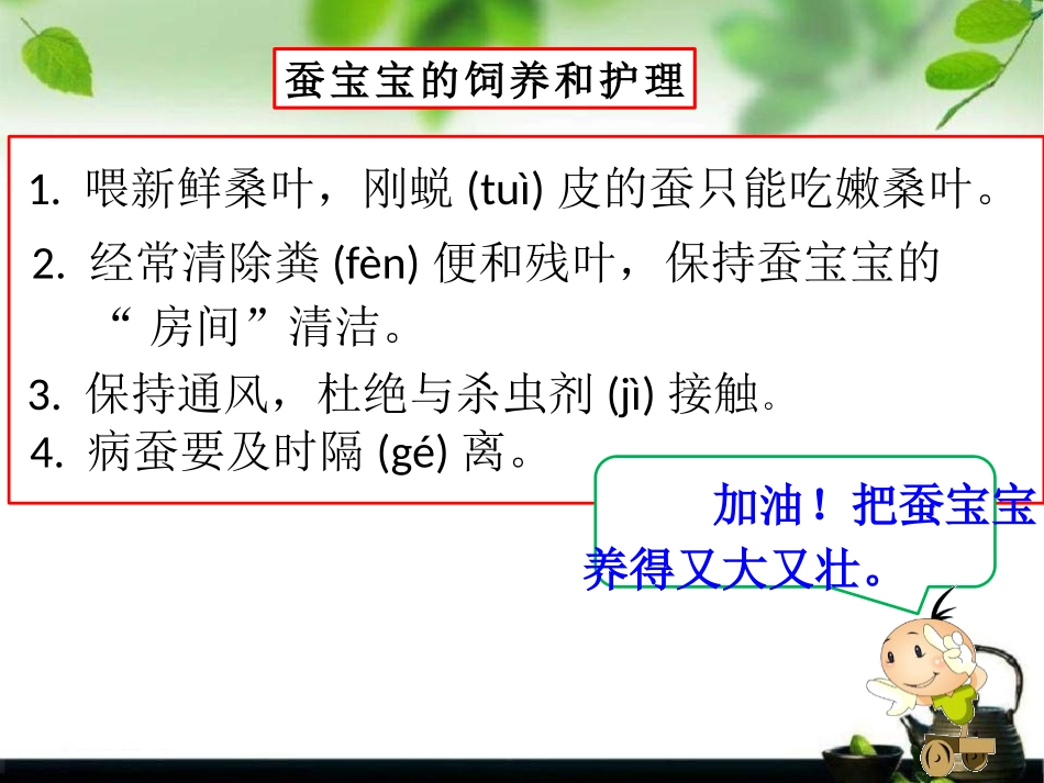 《蚕宝宝在长大》我们来养蚕PPT课件[湘教版三年级科学下册]_第3页