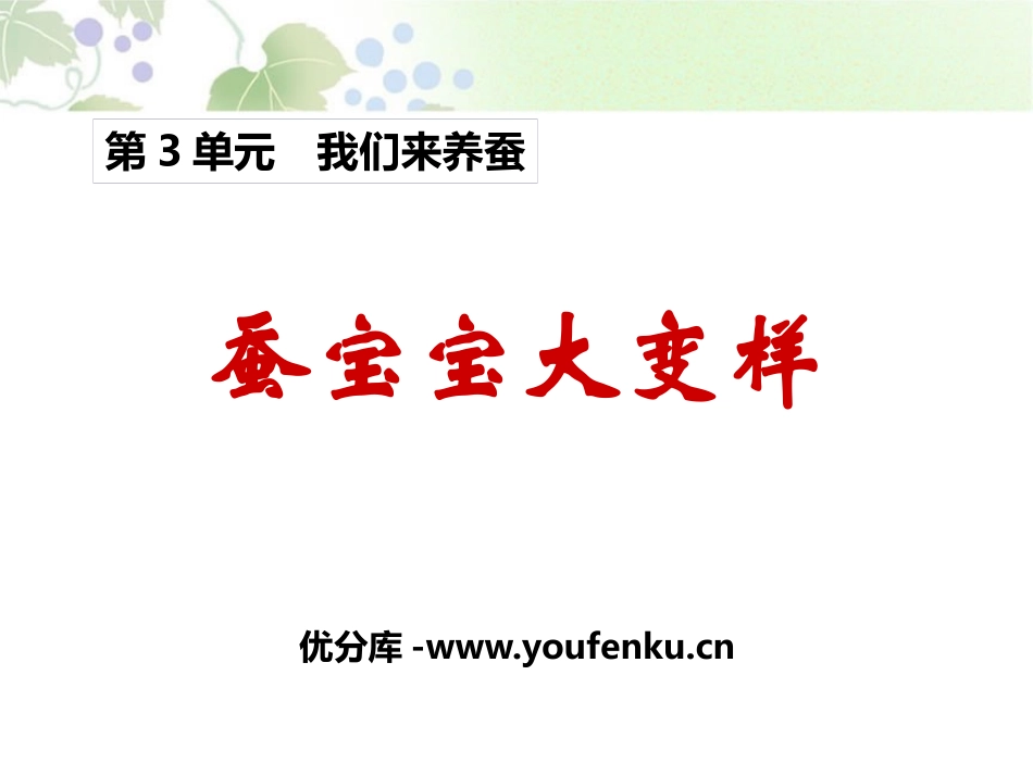 《蚕宝宝大变样》我们来养蚕PPT课件[湘教版三年级科学下册]_第1页