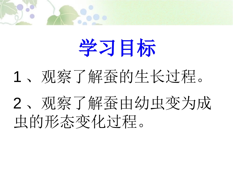 《蚕宝宝大变样》我们来养蚕PPT课件[湘教版三年级科学下册]_第2页