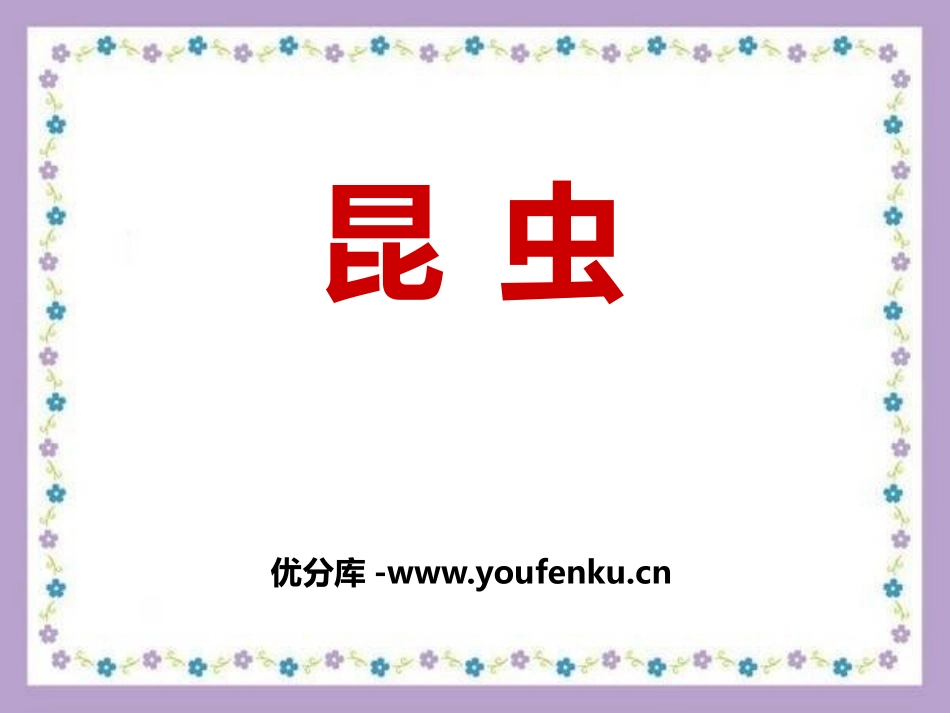《昆虫》我们来养蚕PPT课件[湘教版三年级科学下册]_第1页