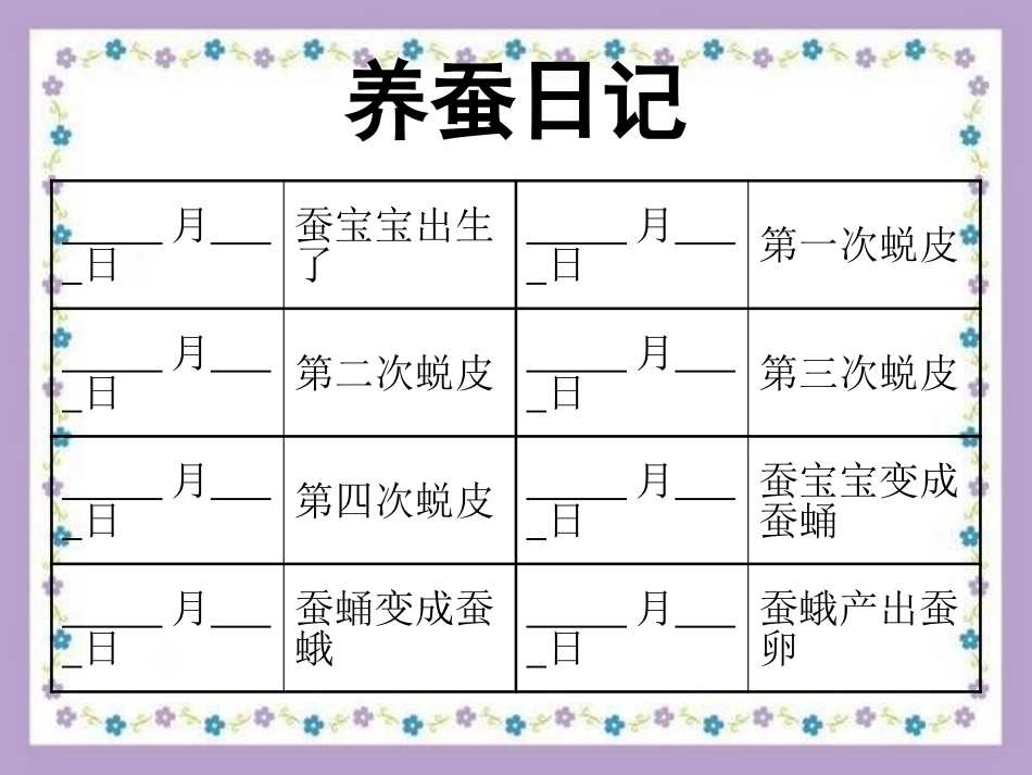 《昆虫》我们来养蚕PPT课件[湘教版三年级科学下册]_第3页