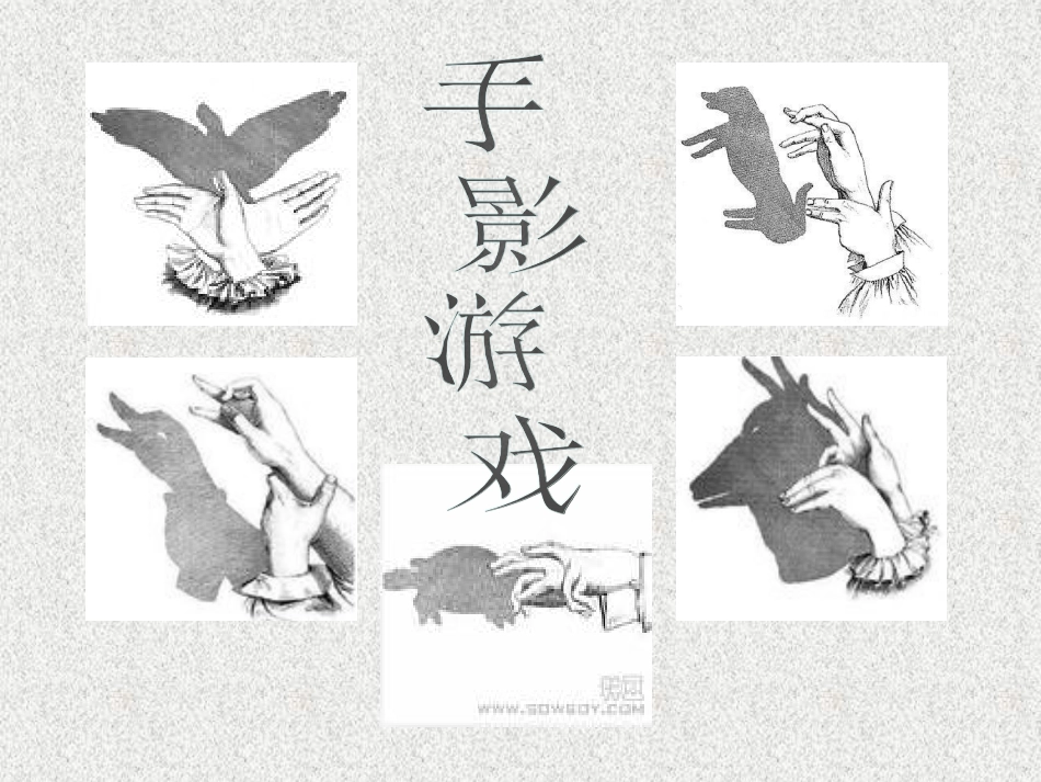 《光与影》多彩的光PPT课件[湘教版三年级科学下册]_第3页
