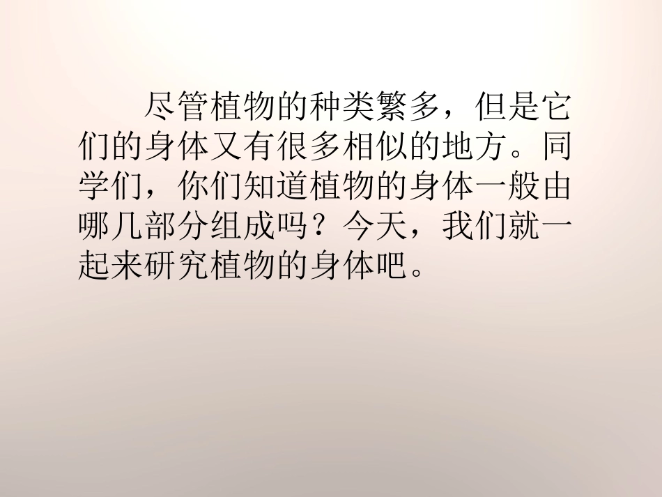 《植物的身体》植物生活的秘密PPT课件[湘教版四年级科学]_第3页