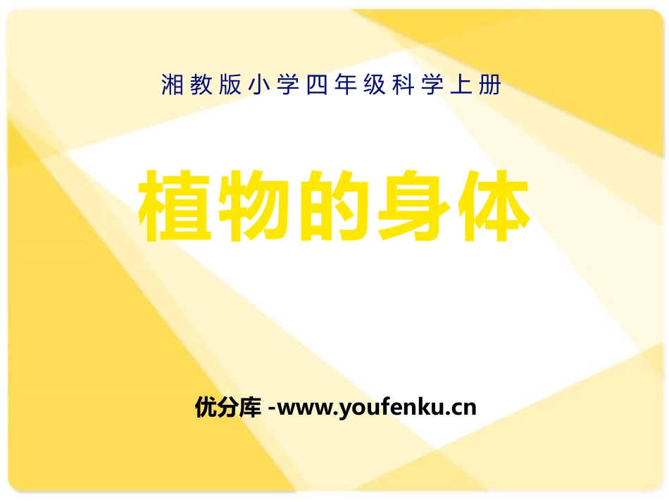 《植物的身体》植物生活的秘密PPT课件[湘教版四年级科学]_第1页