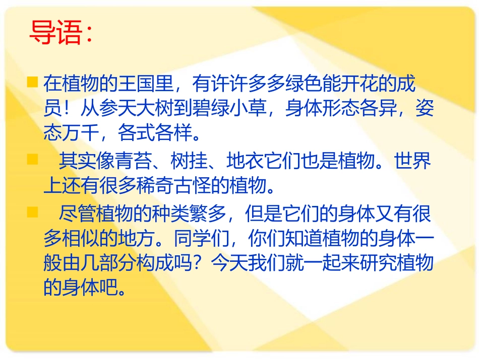 《植物的身体》植物生活的秘密PPT课件[湘教版四年级科学]_第2页