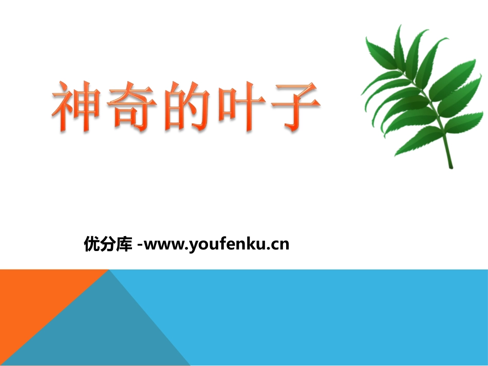 《神奇的叶子》植物生活的秘密PPT课件[湘教版四年级科学]_第1页