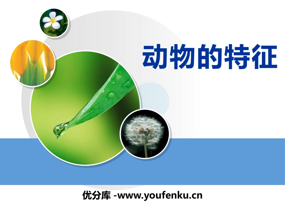 《动物的特征》多种多样的动物PPT课件[湘教版四年级科学]_第1页