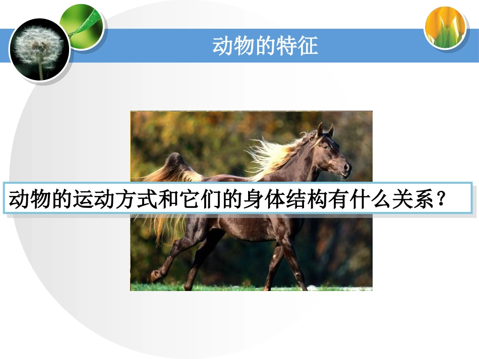 《动物的特征》多种多样的动物PPT课件[湘教版四年级科学]_第2页