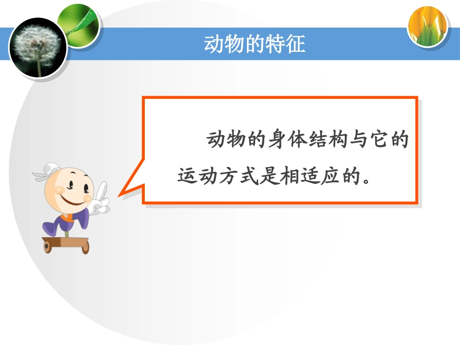 《动物的特征》多种多样的动物PPT课件[湘教版四年级科学]_第3页