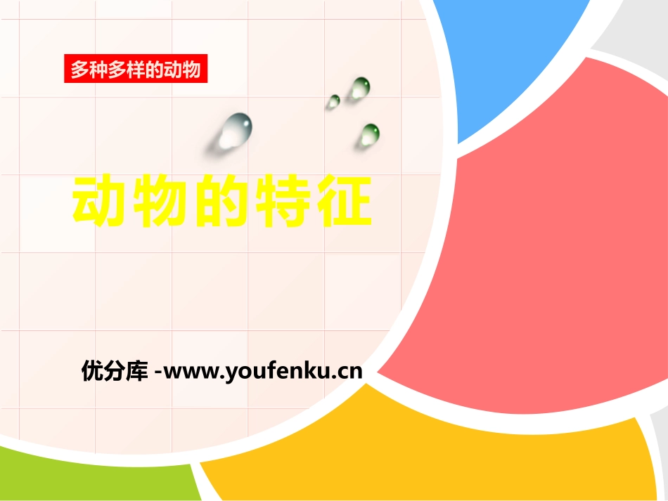 《动物的特征》多种多样的动物PPT课件[湘教版四年级科学]_第1页
