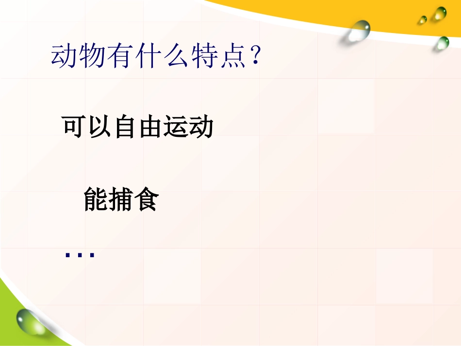 《动物的特征》多种多样的动物PPT课件[湘教版四年级科学]_第2页
