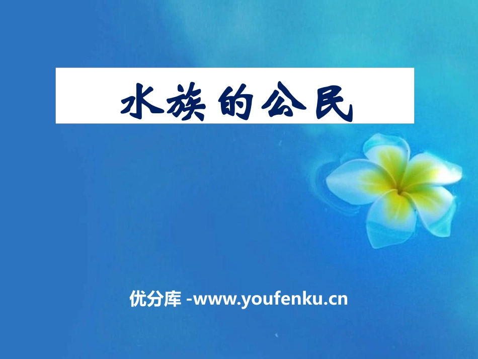 《水族的公民》多种多样的动物PPT课件[湘教版四年级科学]_第1页