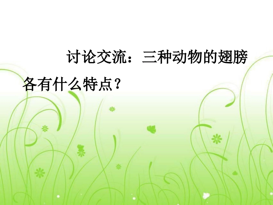 《飞翔的精灵》多种多样的动物PPT课件[湘教版四年级科学]_第3页