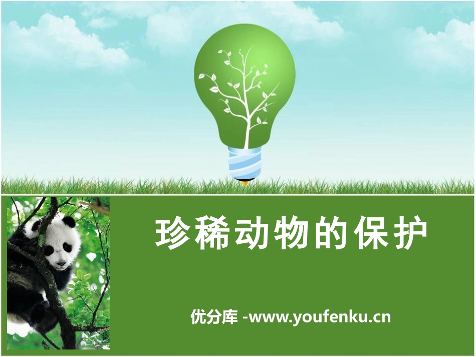 《珍稀动物的保护》多种多样的动物PPT课件[湘教版四年级科学]_第1页