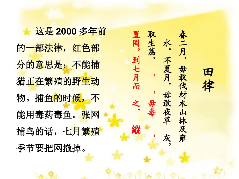 《珍稀动物的保护》多种多样的动物PPT课件[湘教版四年级科学]_第2页