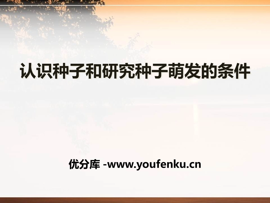 湘科学《认识种子和研究种子萌发的条件》PPT课件_第1页