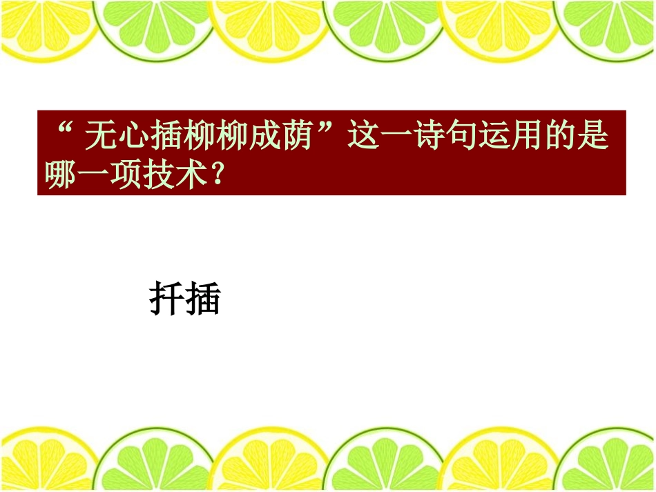 湘教版四年级科学无心插柳柳成荫PPT课件_第2页